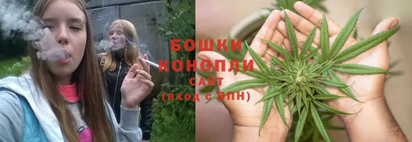 PSILOCYBIN Белоозёрский
