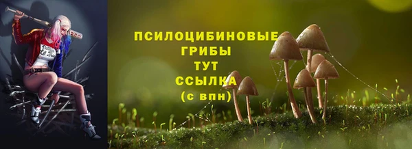 дмт Белокуриха