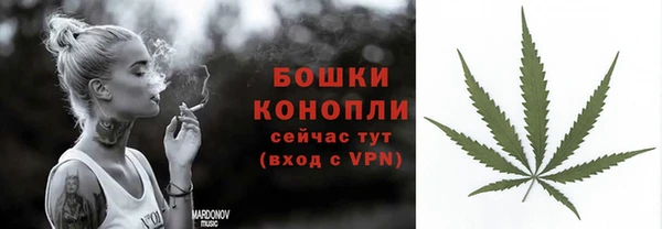 дмт Белокуриха