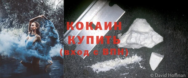 дмт Белокуриха