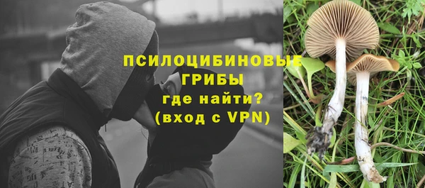 марки lsd Беломорск