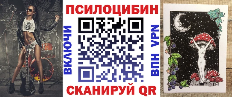 Галлюциногенные грибы Psilocybine cubensis  Судогда 